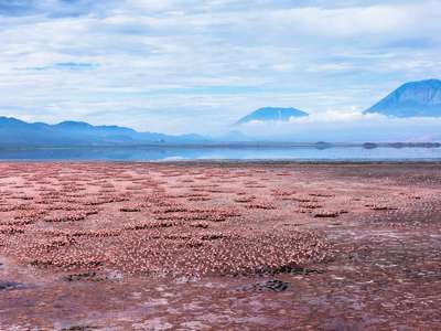Lake Natron