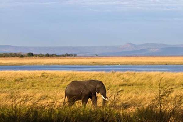Katavi Nationalpark in Tansania