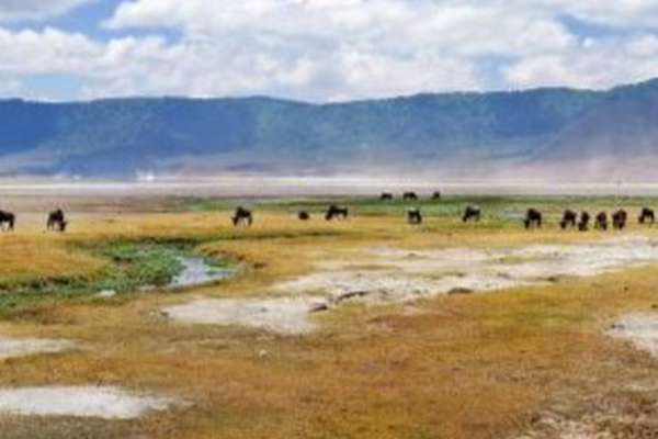Ngorongoro Conservation Area in Tanzania