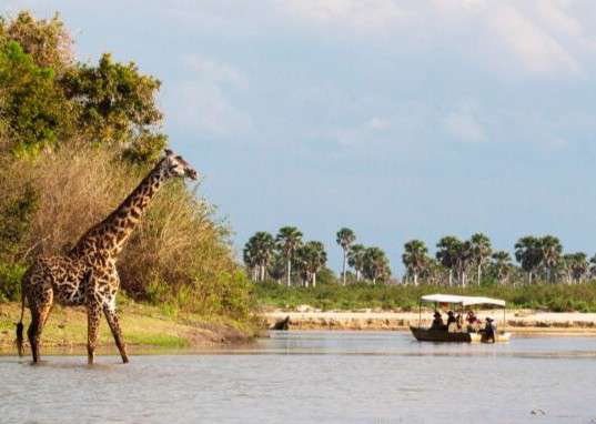 Boot-Safari im Nyerere Nationalpark