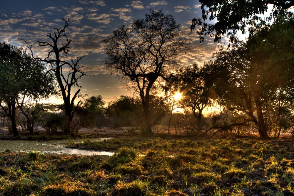 Sonnenuntergang über der Landschaft im Nyerere Nationalpark