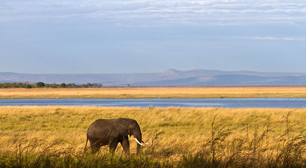 Katisunga Schwemmgebiet im Katavi Nationalpark