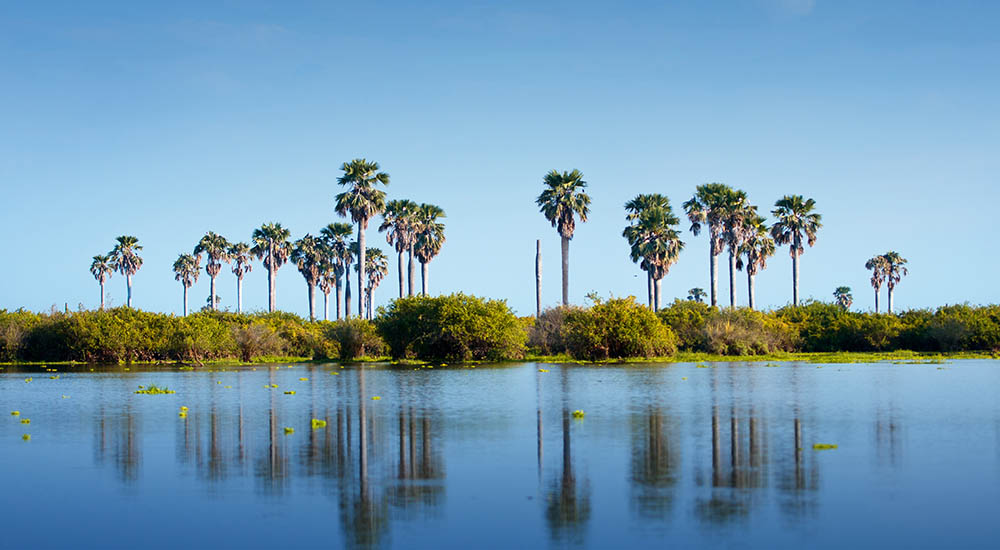 Lake Manze im Nyerere Nationalpark
