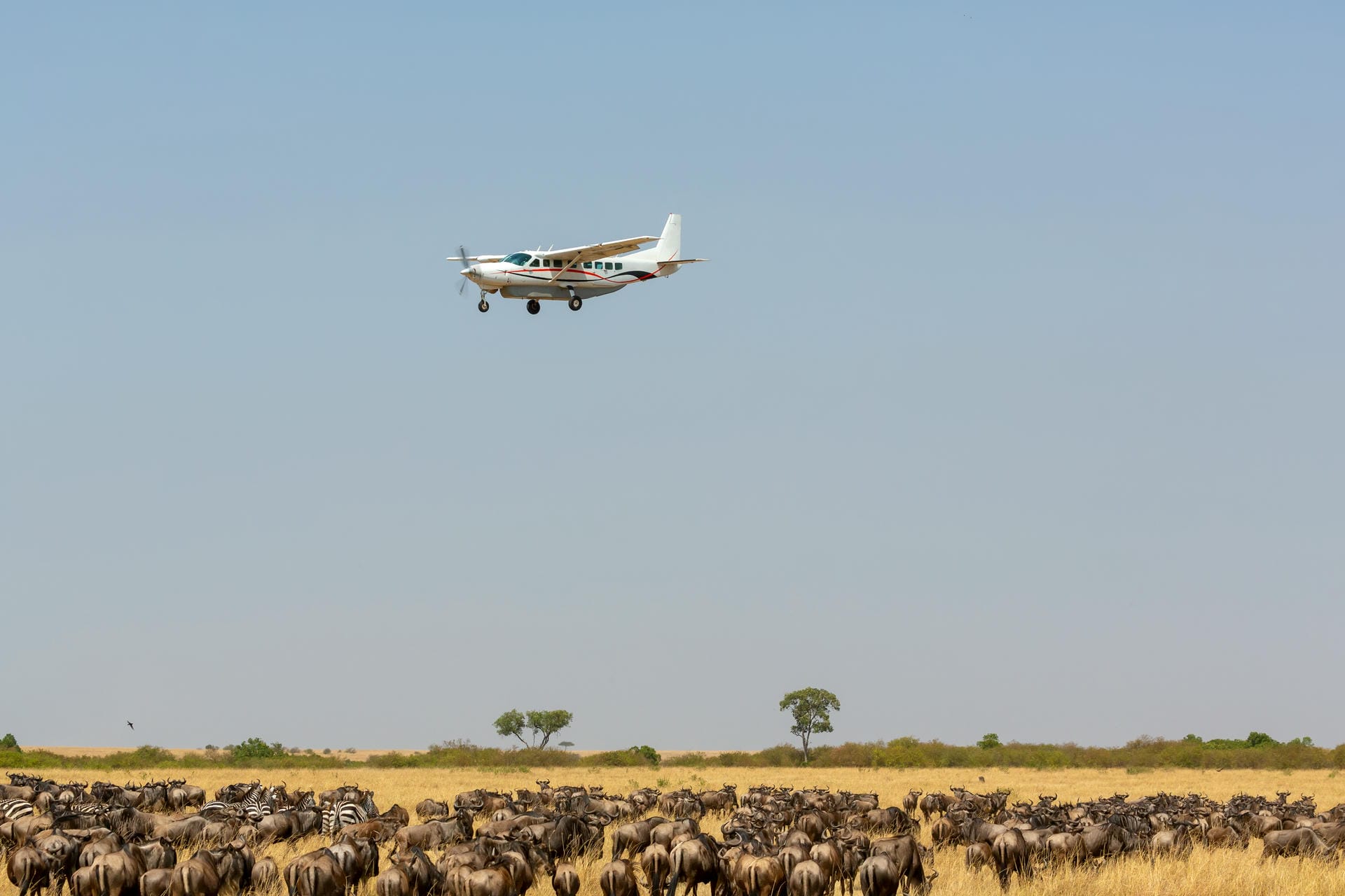 Flugzeug über dem National Park