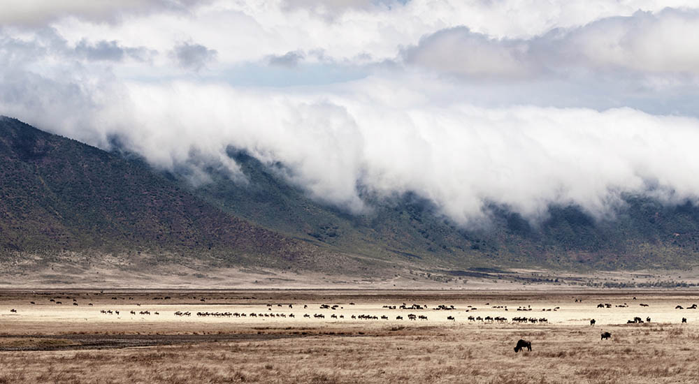 Landschaft im Ngorongoro Krater