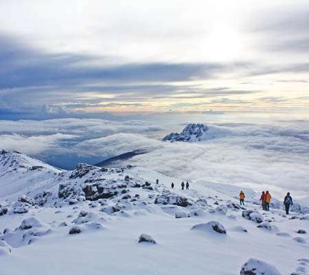 Kilimanjaro